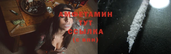 дживик Богородицк