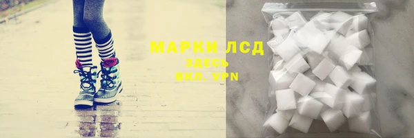 дмт Богданович