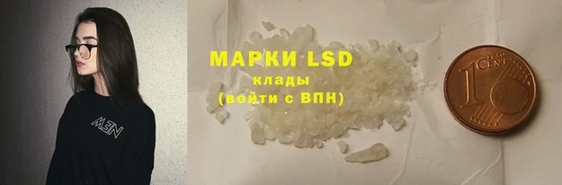 дмт Богданович