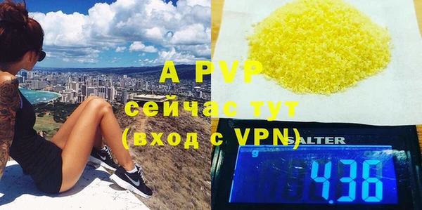 дмт Богданович