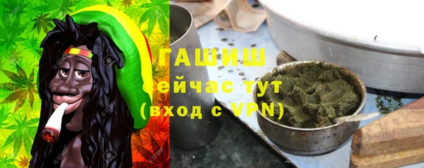 дживик Богородицк