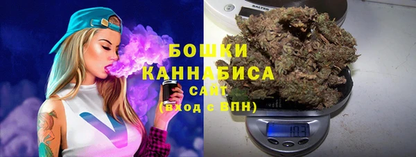 дмт Богданович