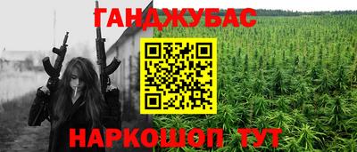 кокс Гатчина