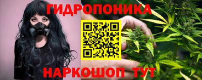 индика Гагарин