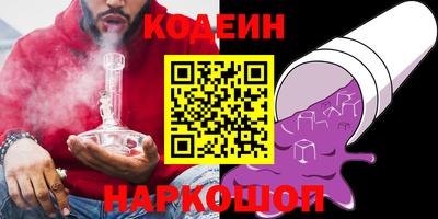индика Гагарин