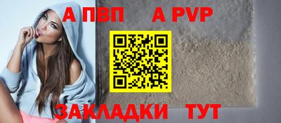 кокс Гатчина