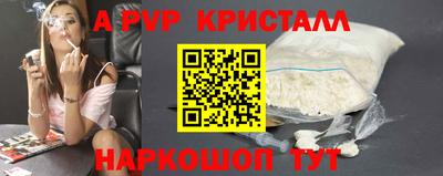 кокс Гатчина