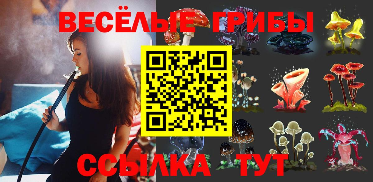 ГАШ  Каннабис  Кетамин  Гатчина  COCAIN  Мефедрон   ГАШИШ  Альфа ПВП СК   Меф МЯУ МЯУ  