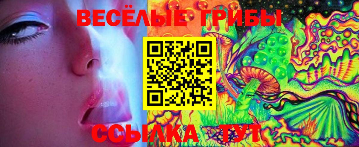 Псилоцибиновые грибы Cubensis Гатчина