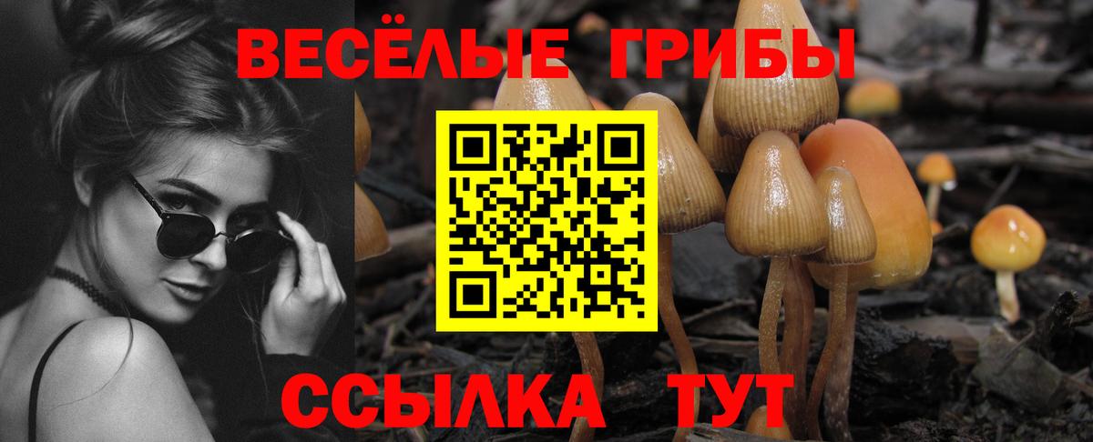 Галлюциногенные грибы ЛСД  Галлюциногенные грибы MAGIC MUSHROOMS  Гатчина  Вход с VPN 