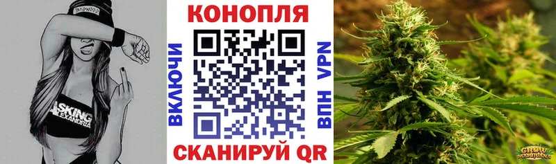 МАРИХУАНА семена Гатчина